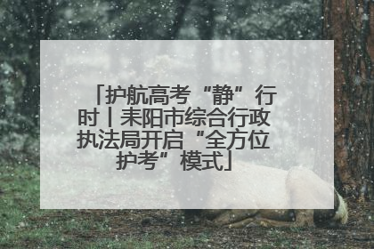 护航高考“静”行时丨耒阳市综合行政执法局开启“全方位护考”模式